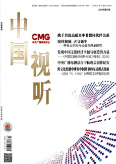 中国视听